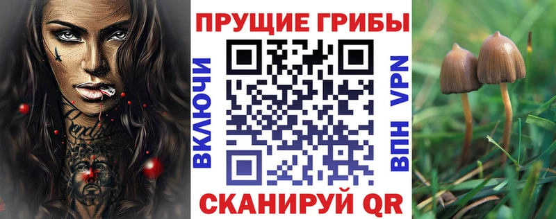 Галлюциногенные грибы Magic Shrooms  Удомля 