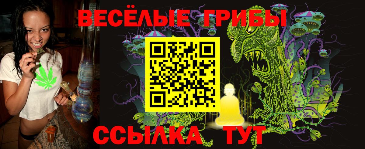 Псилоцибиновые грибы GOLDEN TEACHER  Удомля 