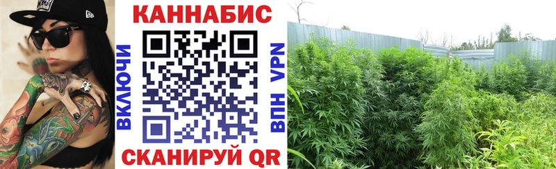 Бошки Шишки White Widow  Удомля 